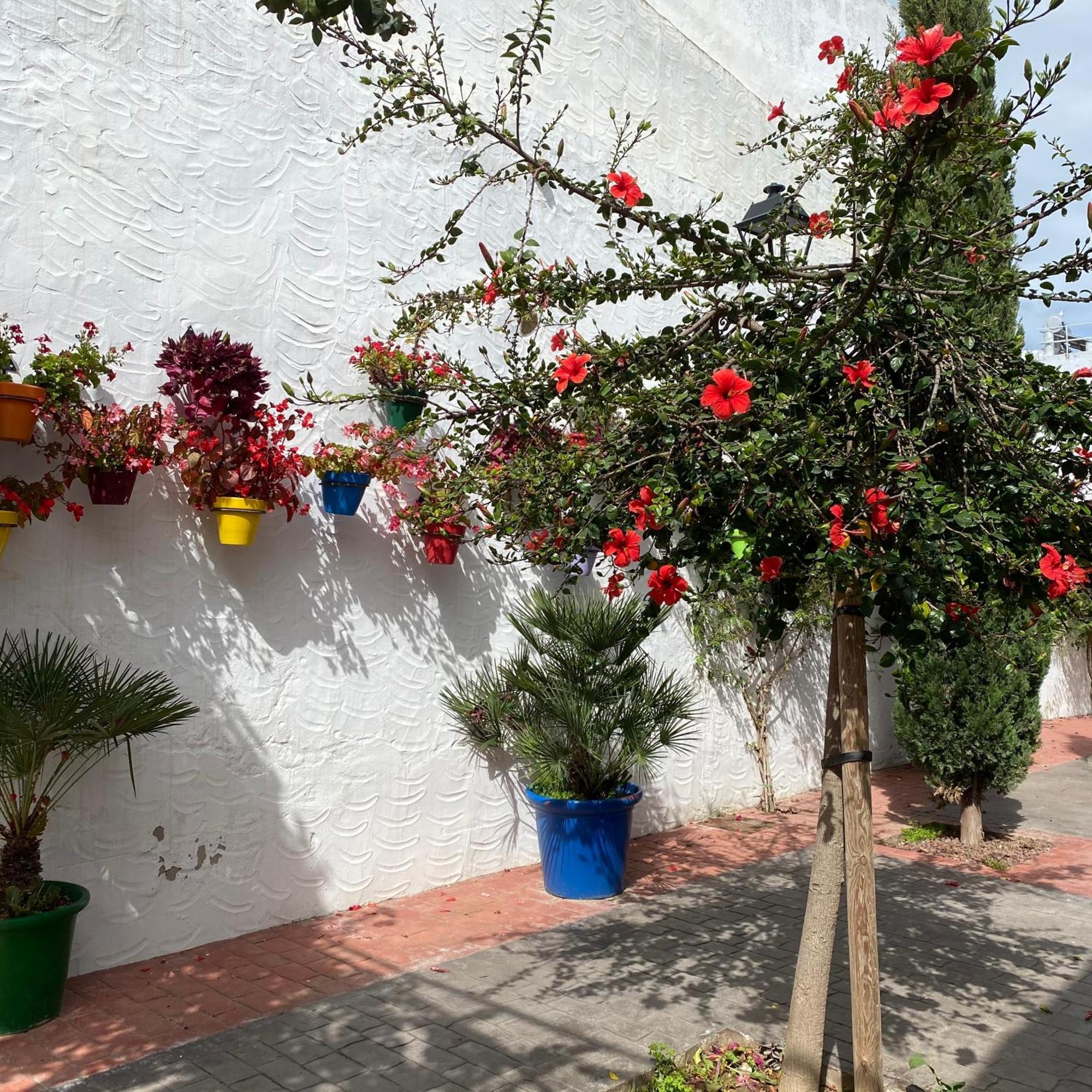 Casa San Miguel Leilighet Estepona Eksteriør bilde